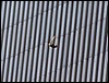 capt1000248165terrorism_attack_xnyr309.jpg