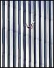 capt1000248185terrorism_attack_xnyr310.jpg