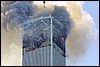 capt1000249388terror_attack_xnyr312.jpg